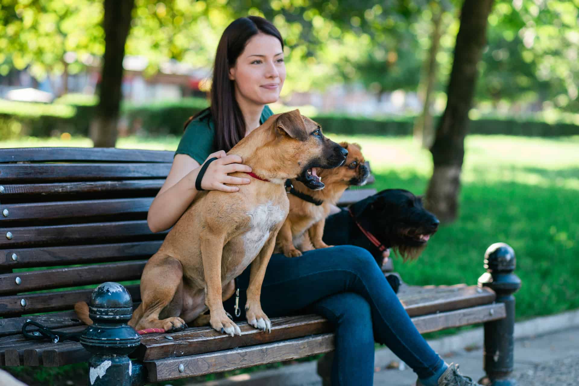 Gassi gehen in München - Die 5 schönsten Orte für deinen Hund 7 hund gassi service münchen