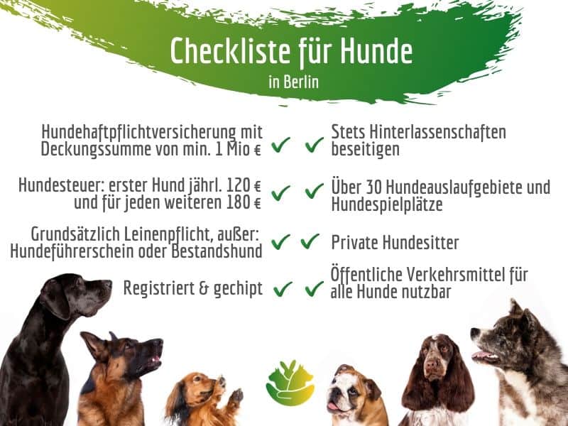 Hunde in Berlin Checkliste Tibeo