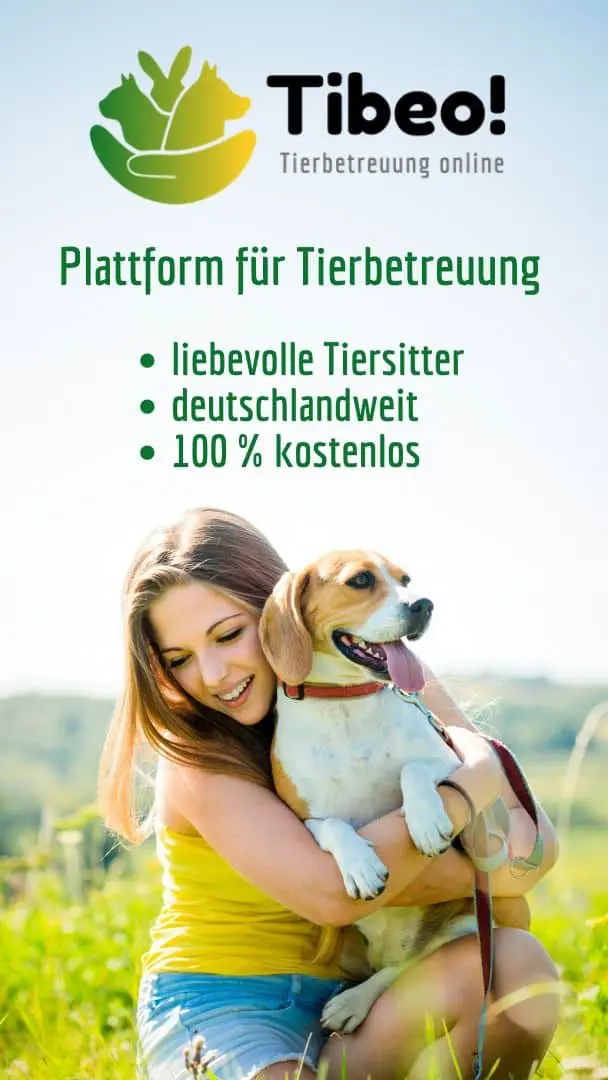 Tibeo Tierbetreuung Story