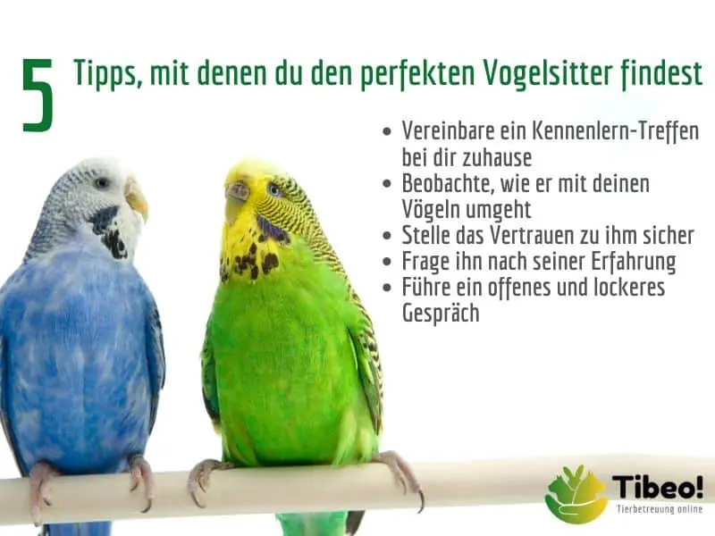 Vogelbetreuung Vogelsitter Tibeo Tipps