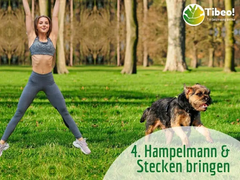 Fitness mit hund hampelmann tibeo