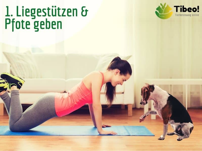 Fitness mit dem Hund zu Hause & unterwegs 5 coole Übungen