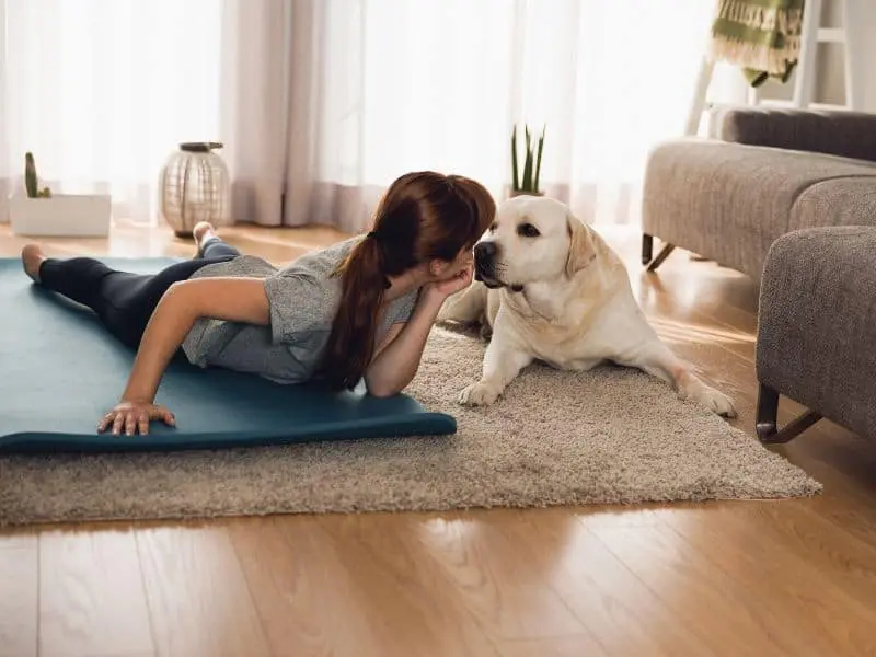 Fitness mit dem Hund zu Hause & unterwegs – 5 coole Übungen